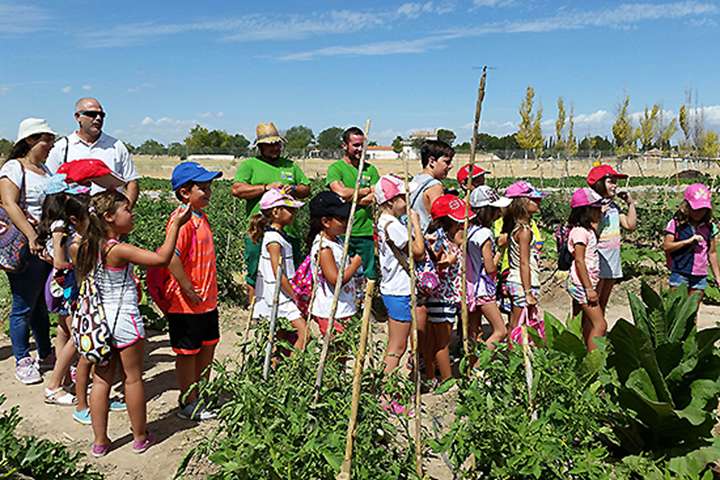 Foto de archivo de una actividad de la escuela de verano de Argamasilla de Alba