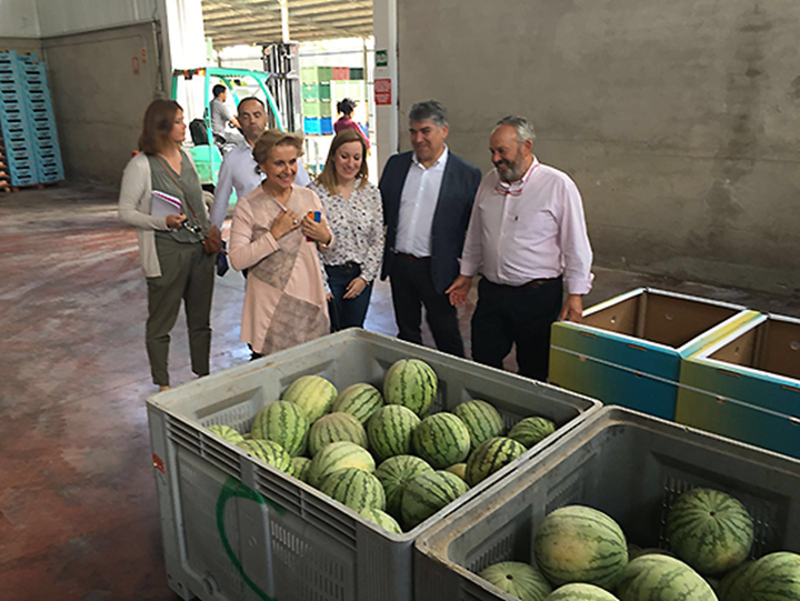 El presidente provincial del PP y candidato número uno al Senado, Carlos Cotillas, acompañado de otros candidatos de su partido ha visitado una cooperativa en Argamasilla de Alba