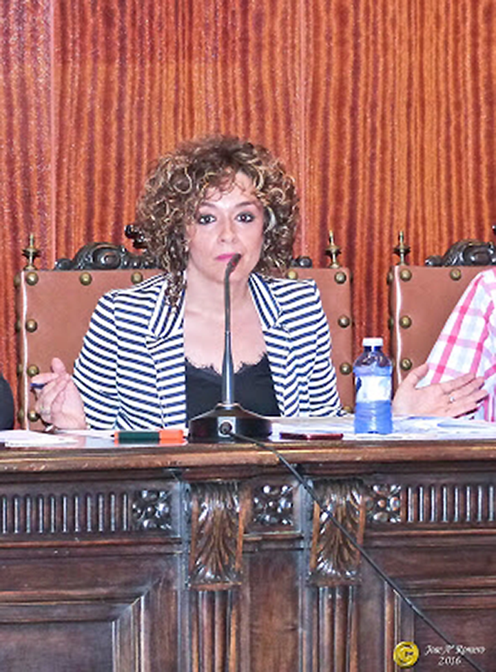 La portavoz del gobierno municipal, Beatriz Labián explico los términos de la nueva ordenanza