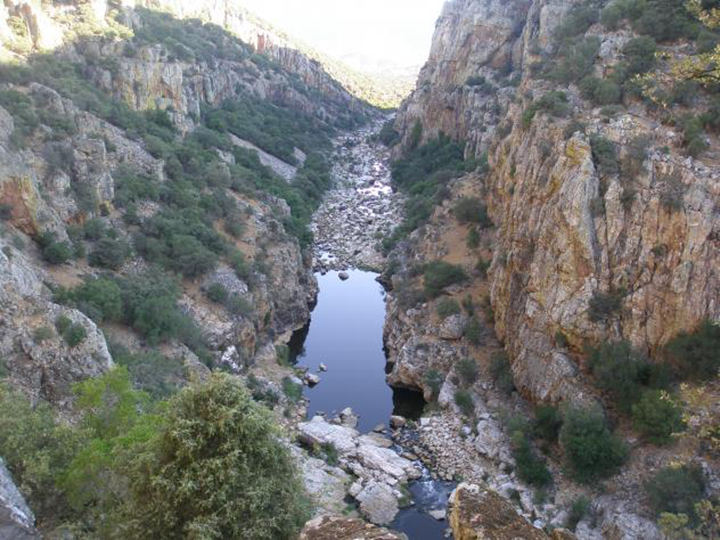 Zona de alto atractivo paisajístico en el Valle de Alcudia.