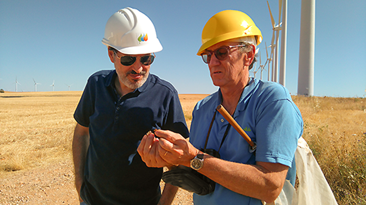 Responsables del proyecto 