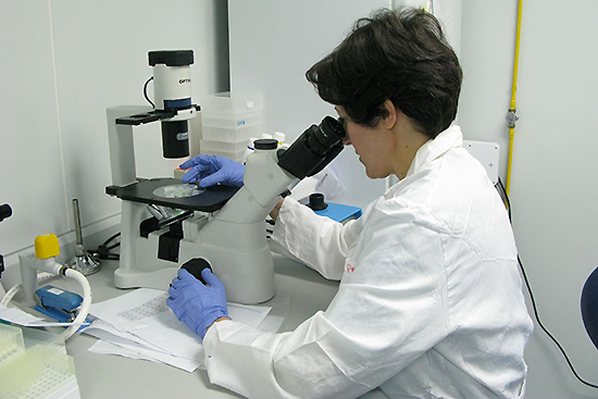 Foto de archivo de una investigadora de la UCLM