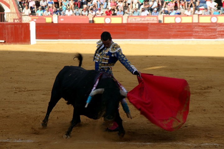 MANZANARES TOREA EN CIUDAD REAL