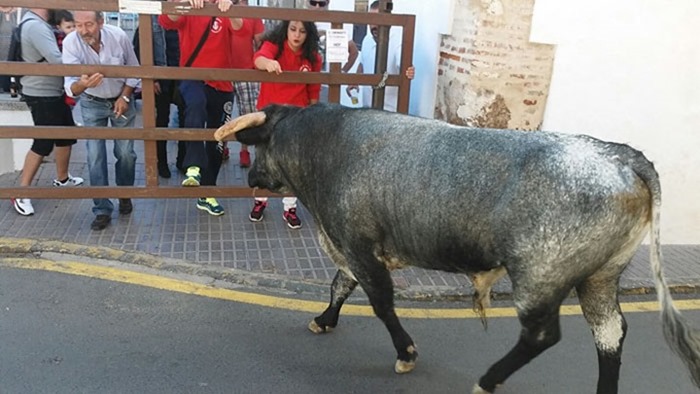 encierro 02