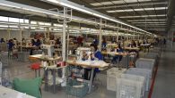 La primera convocatoria de formación para jóvenes desempleados inscritos en Garantía Juvenil permitirá ofertar 3.323 plazas para 223 cursos en la región