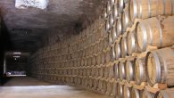 El ayuntamiento de Tomelloso lanza “Tomelandia turística”, con rutas culturales, etnográficas, gastronómicas y patrimoniales