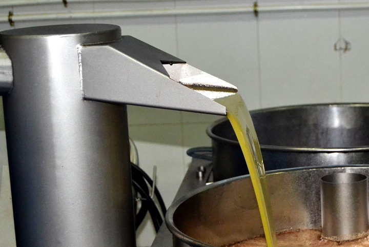 el progreso aceite 1