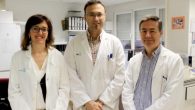 Un estudio sobre el diagnóstico de la celiaquía del Hospital de Toledo, publicado en una revista europea de investigación en Gastroenterología