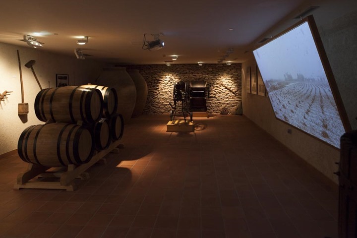 Museo Torre del Vino