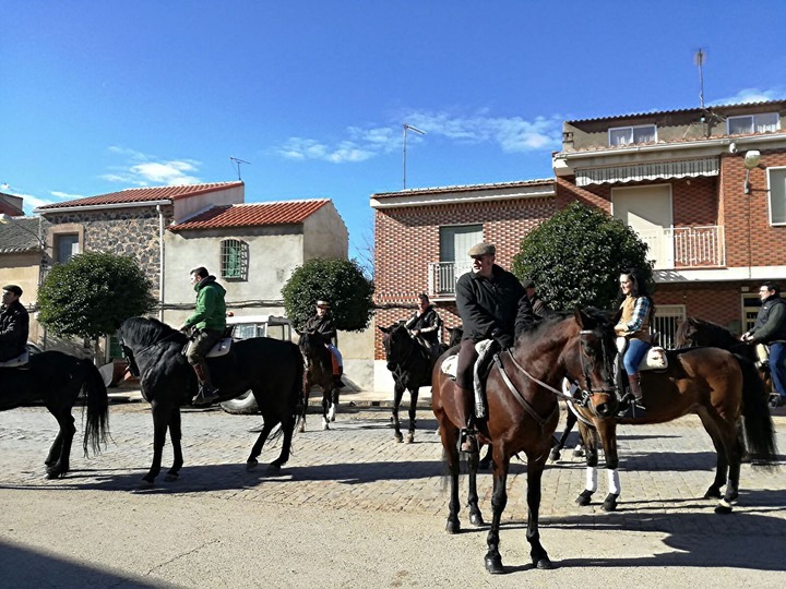 Nutrida presencia de jinetes y caballos