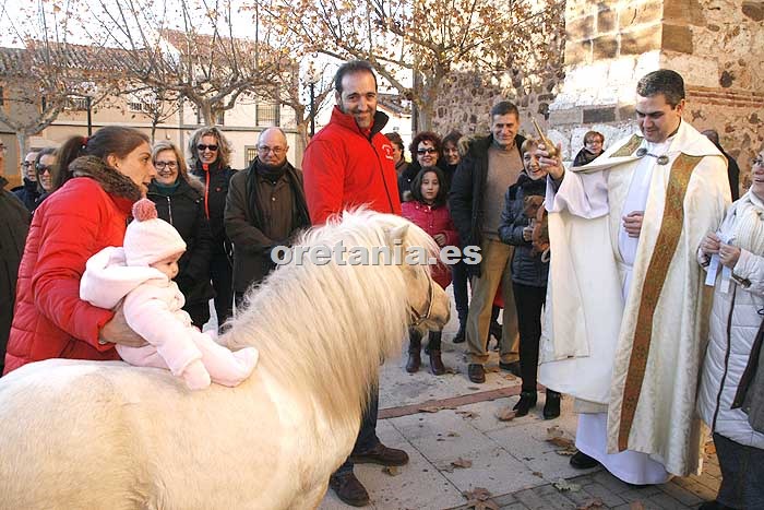 Un momento durante la bendición de los animales en Argamasilla de Calatrava