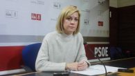 “Mientras el gobierno de C-LM trabaja por combatir el pico de gripe, los dirigentes del PP solo hacen alarmar”