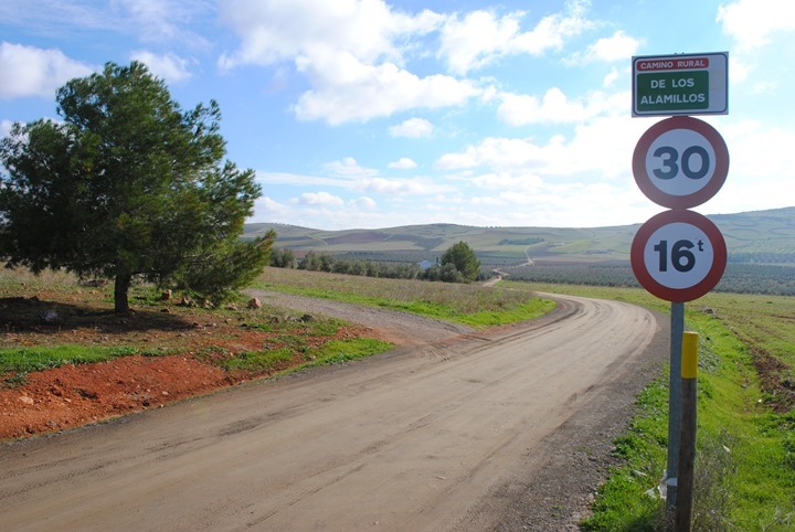 CAMINO ALAMILLOS