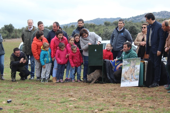 Carmen Olmedo en suelta de linces