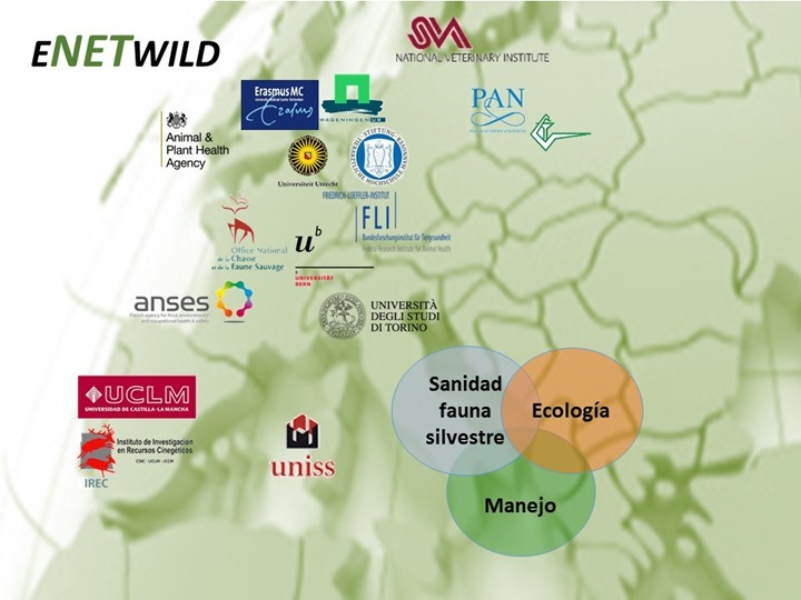 Mapa_participantes_Espa&ntilde;ol