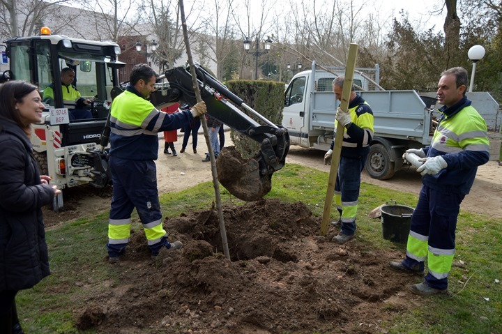 ZAMORA PLANTACION ARBOLES GASSET