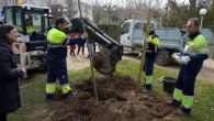 Ciudad Real plantará en dos años más de 300 árboles en distintas zonas verdes