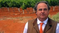 Fenavin 2017 acogerá el doble de bodegas ecológicas que en la anterior edición