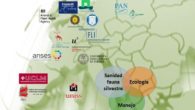 La UCLM lidera una red científica europea de distribución de la fauna silvestre y las enfermedades que transmiten