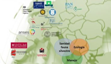 La UCLM lidera una red científica europea de distribución de la fauna silvestre y las enfermedades que transmiten