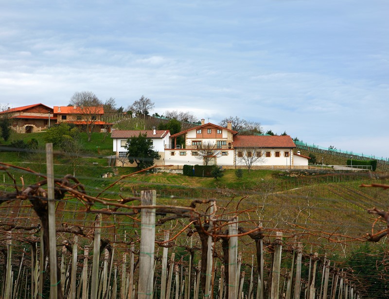 FENAVIN Txacoli Agerre