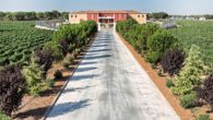 Dominio de Punctum, la única bodega biodinámica que estará en FENAVIN 2017