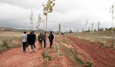 El Ayuntamiento de Terrinches, candidato al Premio Zerosion 2017 por su programa de reforestación del paraje de San Isidro
