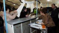 El entierro de doña Sardina pone un punto y seguido en la programación del Carnaval de Almodóvar del Campo