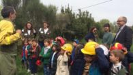 El Gobierno de Castilla-La Mancha celebra el Día Internacional de los Bosques con actividades de educación ambiental en el Vivero Forestal