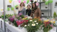 La AECC de Almodóvar del Campo agotó las 475 plantas solidarias con que recabó el apoyo ciudadano durante la reciente Feria de Marzo