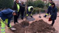 Pilar Zamora visita la regeneración de los jardines ciudadrealeños de la plaza Fernando Merry del Val