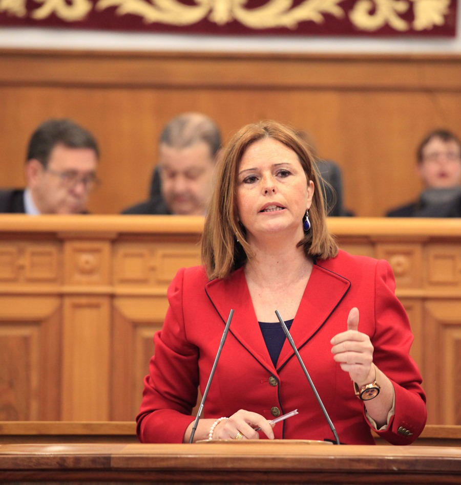 Cortes Valentín en el Pleno de las Cortes