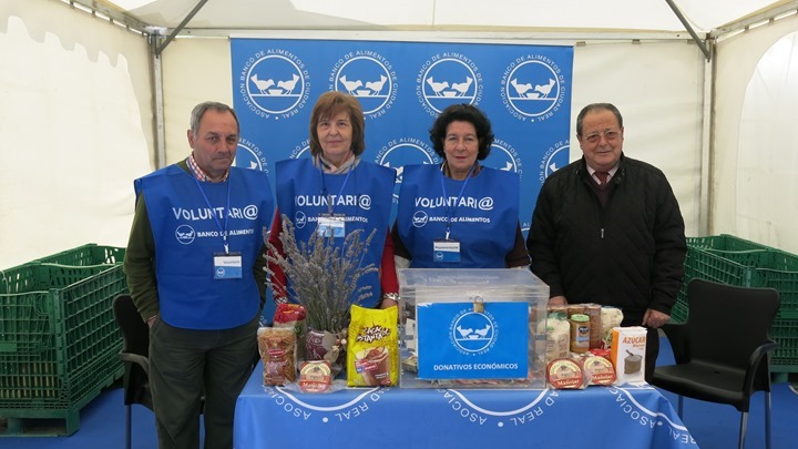 Feria Stock