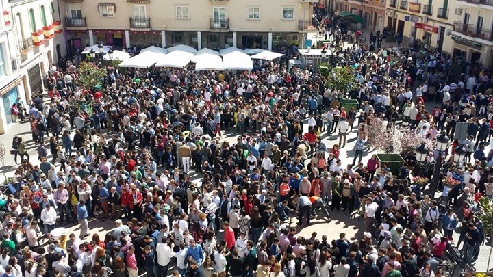 calzada las caras 2016 dos