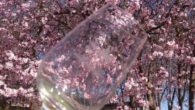 Entregados en Alcázar de San Juan los premios de fotografía en Redes sociales que se realizó coincidiendo con el Concurso Regional de Vinos de la Tierra del Quijote