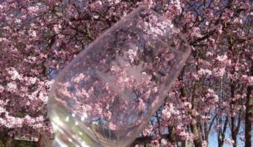 Entregados en Alcázar de San Juan los premios de fotografía en Redes sociales que se realizó coincidiendo con el Concurso Regional de Vinos de la Tierra del Quijote