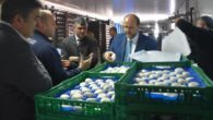 Martínez Guijarro: “Rejuvenecer el campo es invertir de forma segura en el futuro del sector agrario”