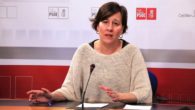 Fernández: “Lo que le importa a la gente y a García-Page es revertir los recortes y reforzar el sector público, no la unidad o no unidad del PP”