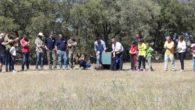 Nativo, el último lince ibérico del año que se reintroduce en Castilla-La Mancha