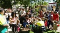 Niños de Socuéllamos plantan un olmo autóctono clonado y resistente a la grafiosis en el parque municipal