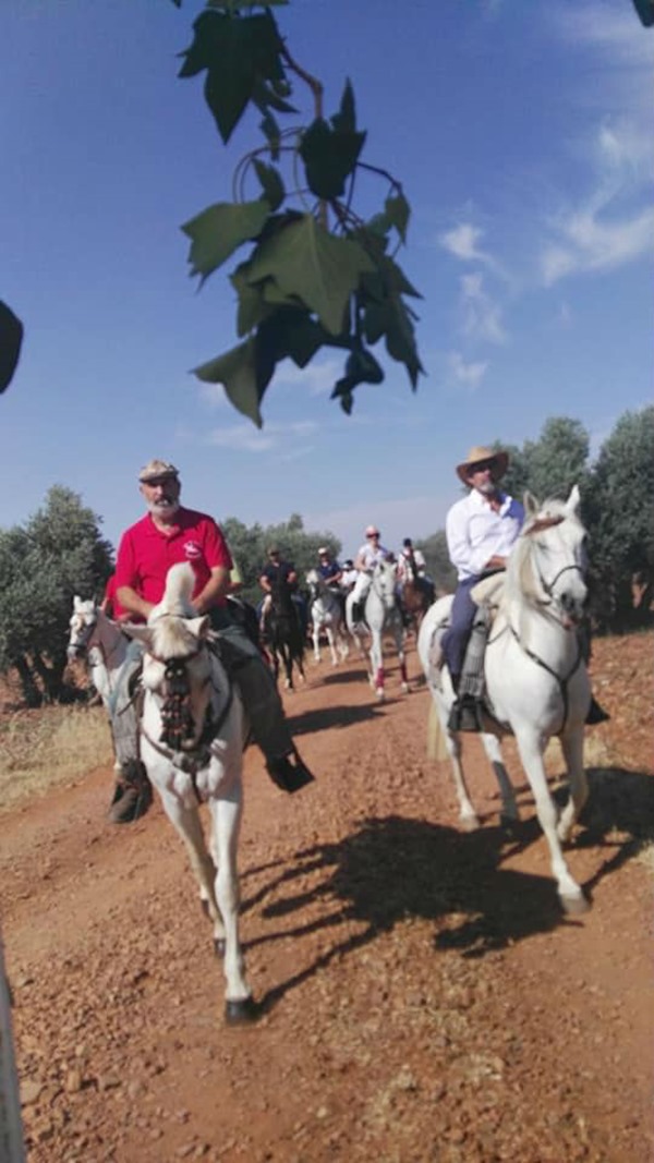 caballos