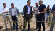 El Gobierno de Castilla-La Mancha lamenta que el Decreto de Sequía no tenga en cuenta la situación extrema de la región y el futuro de su industria agroalimentaria