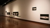 El Gobierno regional destaca el impulso dado por el Gobierno de García-Page al Museo de Santa Cruz en lo que va de legislatura