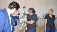 Caballero dice que la Diputación destina todos sus recursos a impulsar el desarrollo económico y a crear empleo