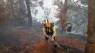 García-Page agradece a sus homólogos en Murcia y Valencia su ayuda técnica y humana para combatir el incendio de Yeste (Albacete)