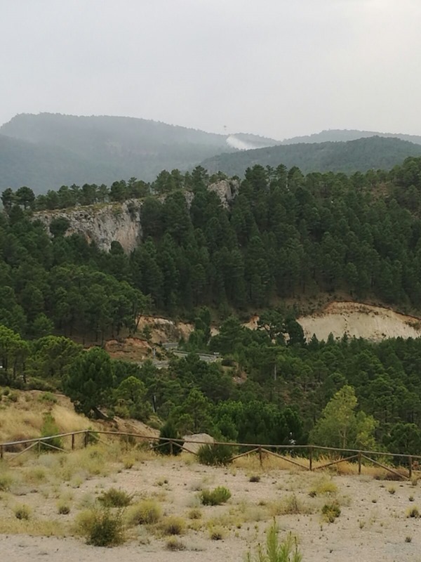 Imagen del incendio de Yeste