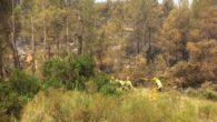 El Gobierno de Castilla-La Mancha confirma la perimetración total del incendio de Yeste tras seis días de duro trabajo