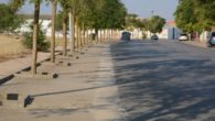 Finaliza en Tomelloso un plan de limpieza de la periferia que ha afectado principalmente al entorno de la N-310