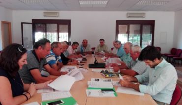 La producción de vino y mosto en Castilla-La Mancha será inferior este año a la de la pasada campaña