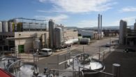 Mas de 800 empresas de la región han participado en acciones del Plan de Internalización del gobierno regional con una inversión superior a los 2 millones de euros